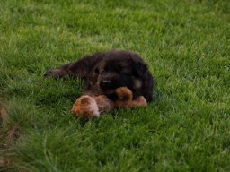 img_8142