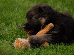 img_8145