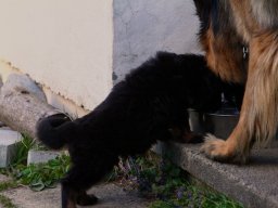 img_8219