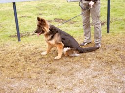 sam_0091