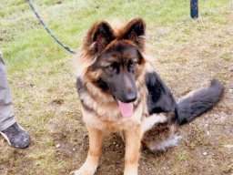 sam_0092