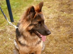 sam_0096