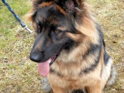 sam_0097