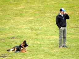 sam_0105