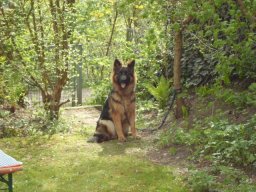 sam_0110