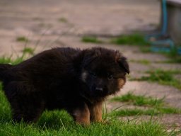 img_8338