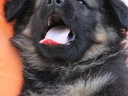 img_8607
