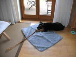 bild3300