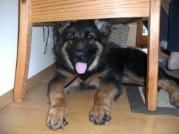 bild3305