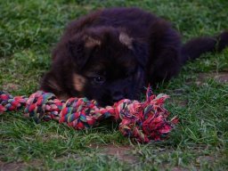 img_8375