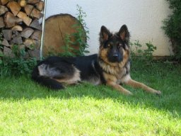 moritz_02