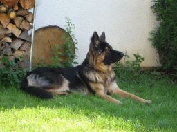 moritz_03