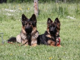 moritz_05