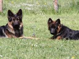 moritz_06