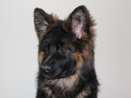 vreni_04