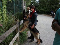 zoo_02